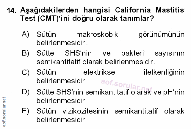 Soru 14
