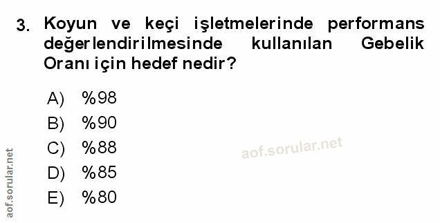 Soru 3