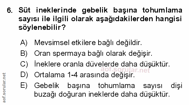 Soru 6