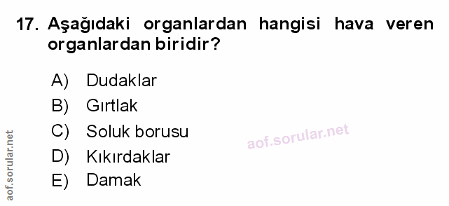 Soru 17
