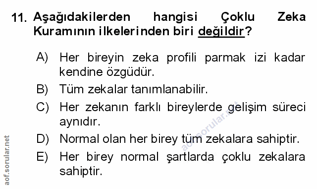 Soru 11