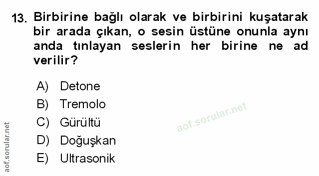 Soru 13