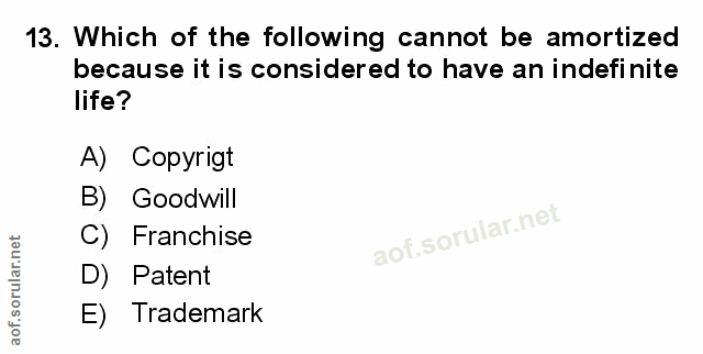 Soru 13