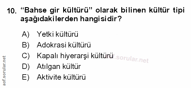 Soru 10
