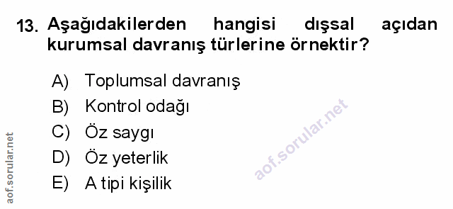 Soru 13