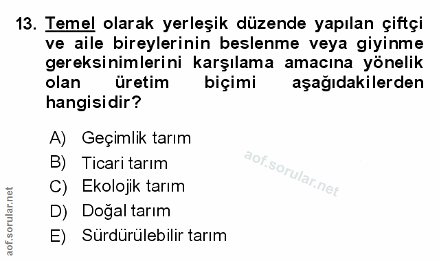 Soru 13