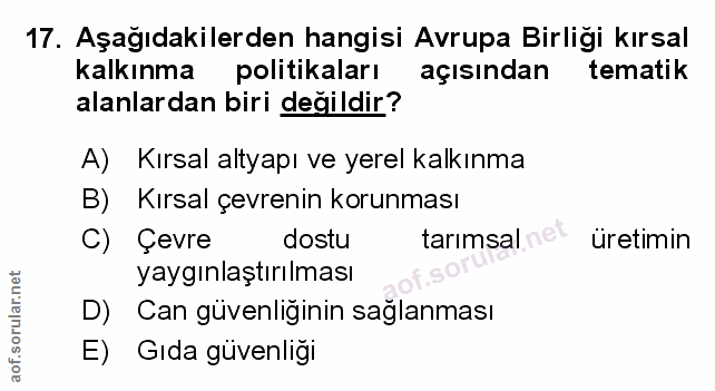 Soru 17