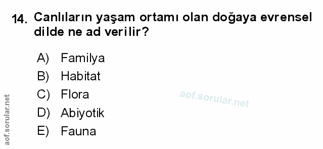 Soru 14