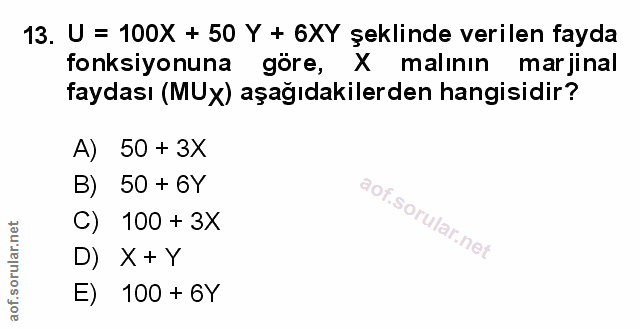 Soru 13