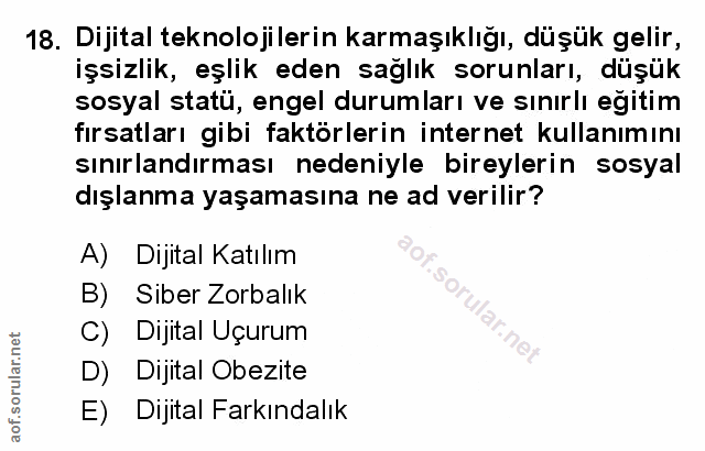 Soru 18