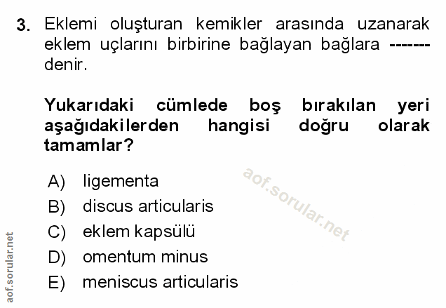 Soru 3
