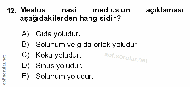 Soru 12