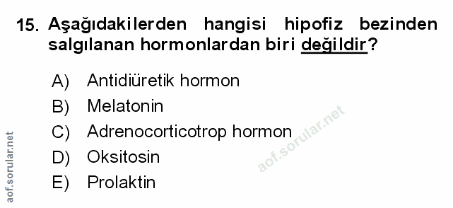 Soru 15