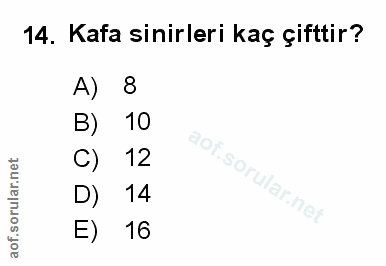 Soru 14