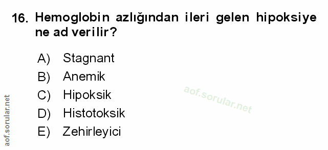 Soru 16