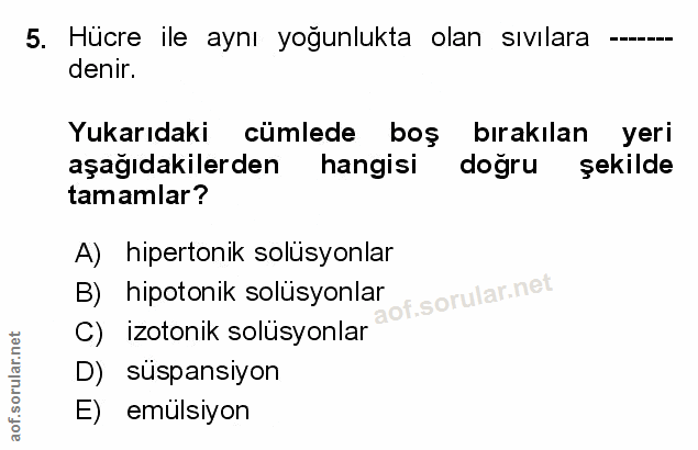 Soru 5