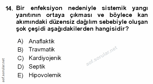 Soru 14