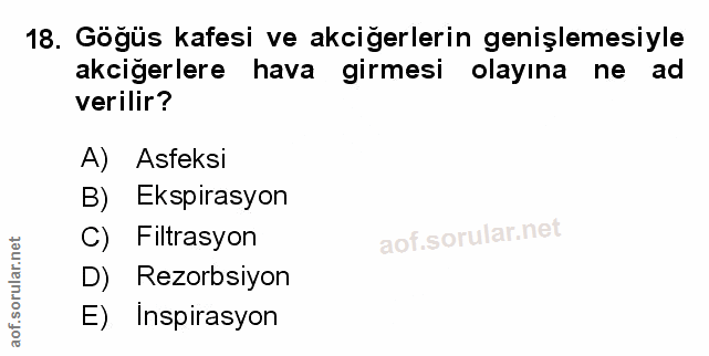 Soru 18