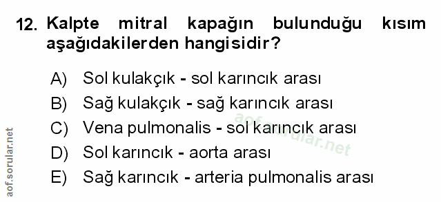 Soru 12