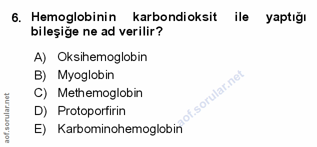 Soru 6