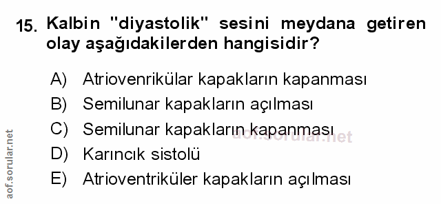 Soru 15