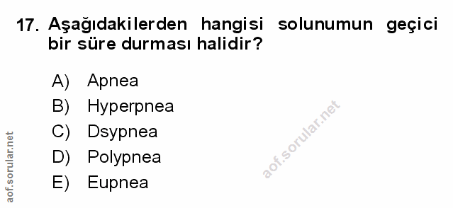 Soru 17