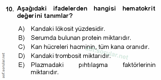 Soru 10