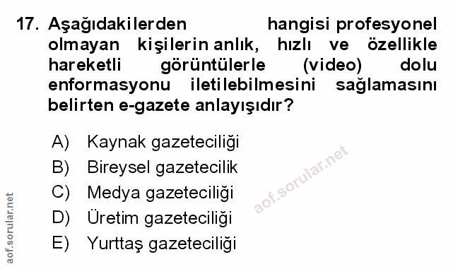 Soru 17