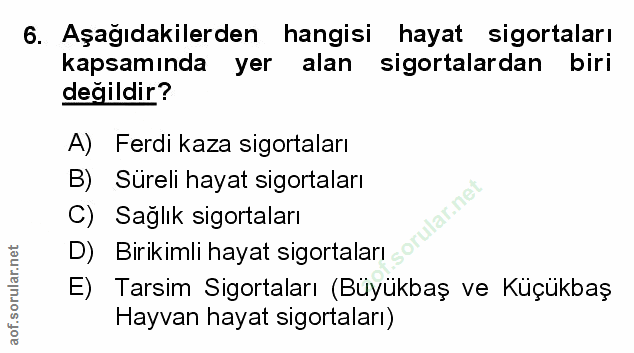 Soru 6