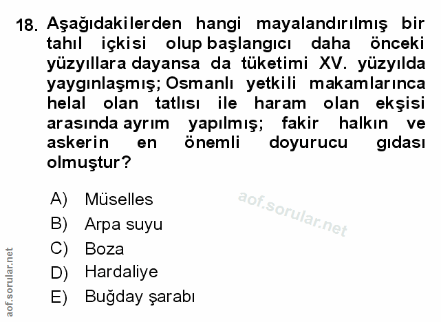 Soru 18