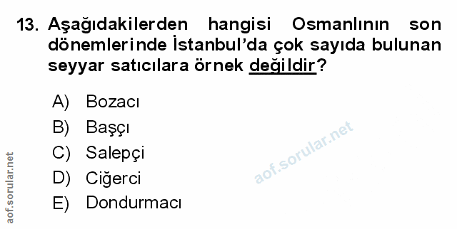 Soru 13