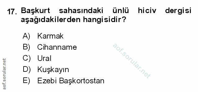 Soru 17