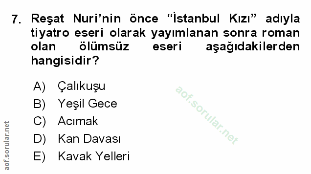Soru 7