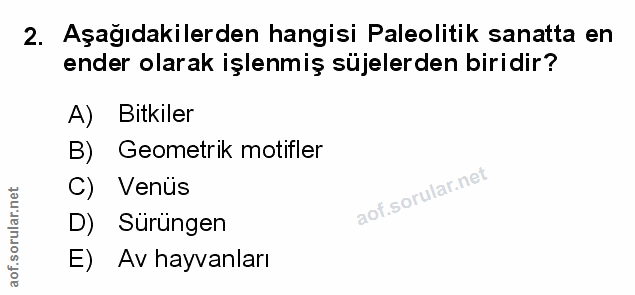 Soru 2