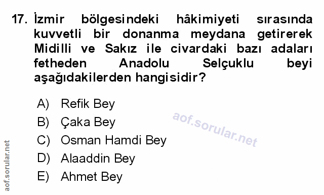 Soru 17