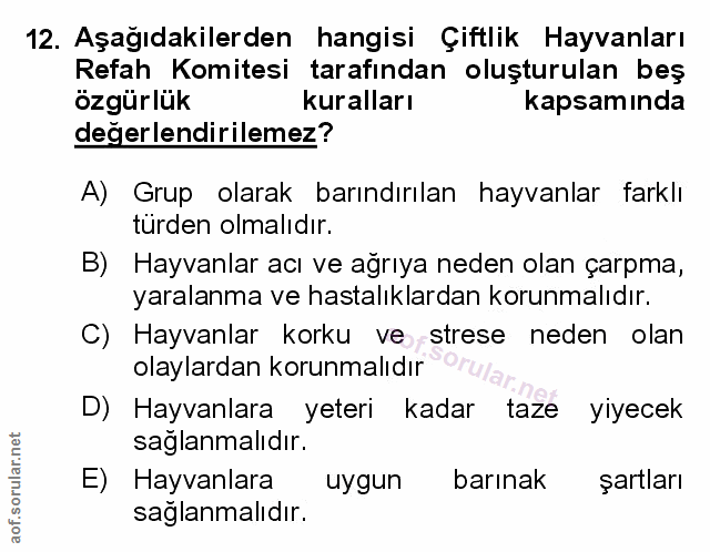 Soru 12