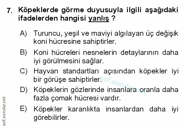 Soru 7