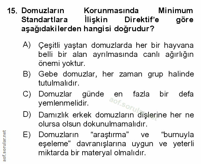 Soru 15