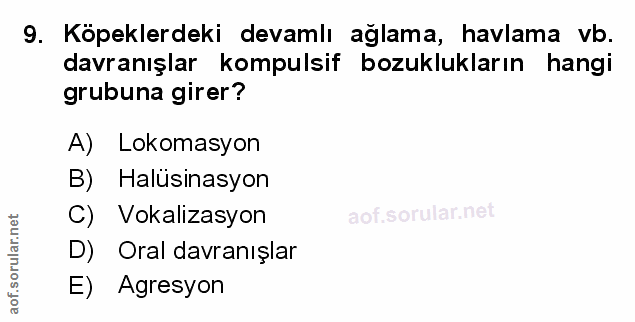 Soru 9