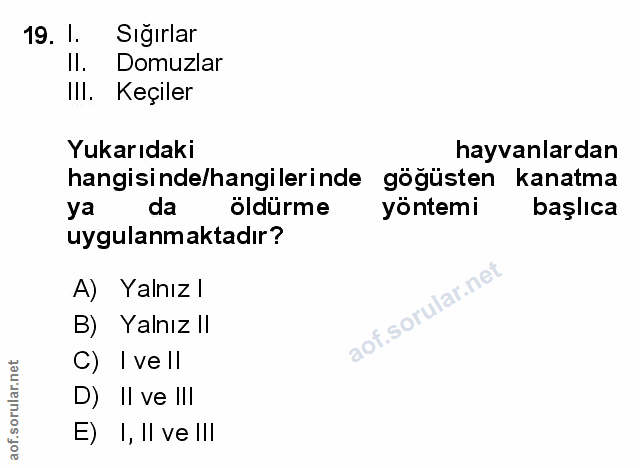 Soru 19