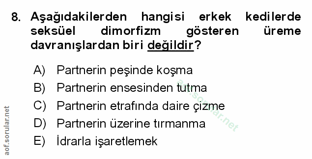 Soru 8