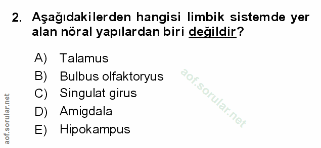 Soru 2