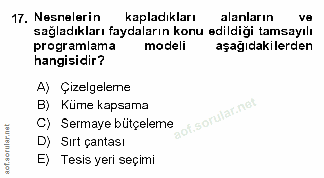 Soru 17
