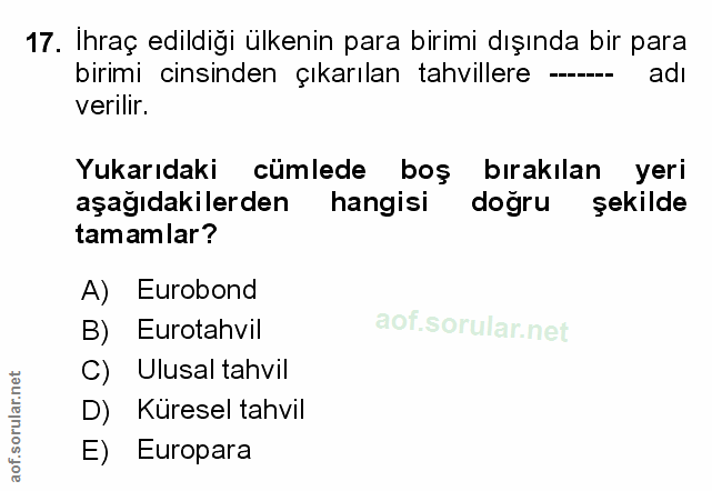 Soru 17