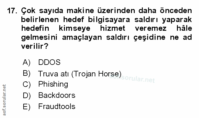 Soru 17