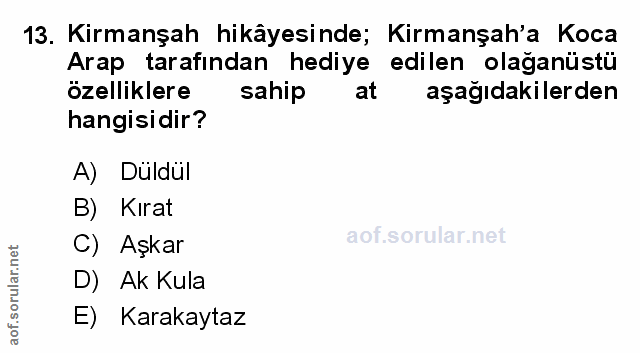 Soru 13