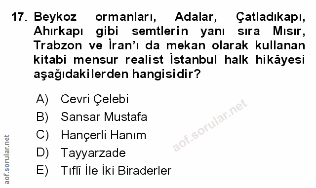 Soru 17