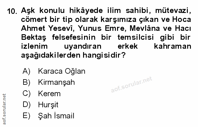 Soru 10