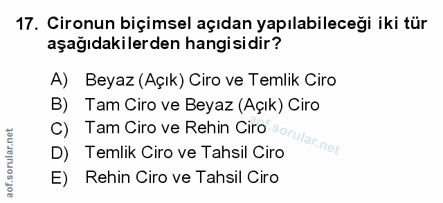 Soru 17