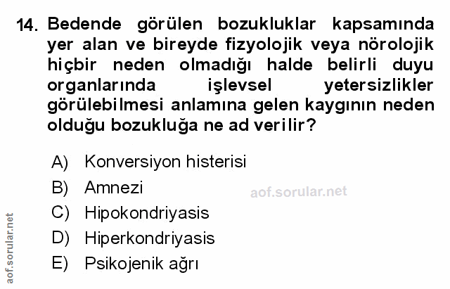 Soru 14